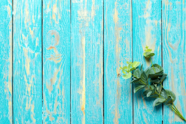 Schöne frische Blume auf Holztisch