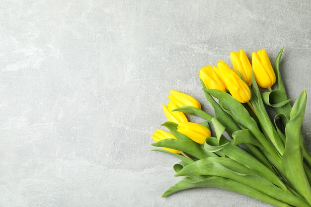 Schöne frische gelbe Tulpen auf grau. Platz für Text