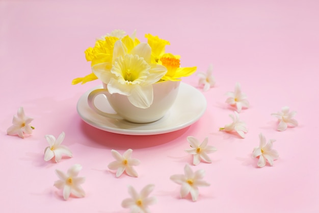 Schöne frische Narzisse in einer Tasse auf einem rosa Tisch.