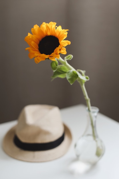 schöne frische Sonnenblume in Vase und Strohhut
