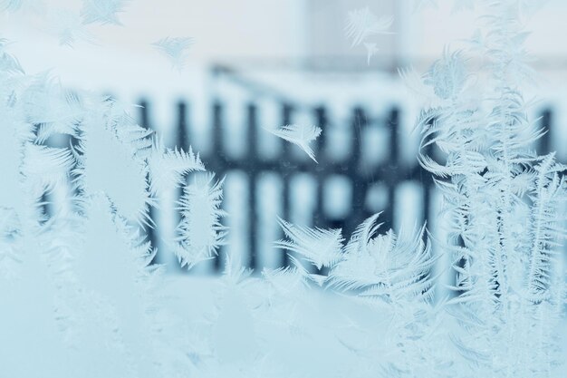 Foto schöne frostige muster auf einem blauen fenster vor dem hintergrund eines zauns