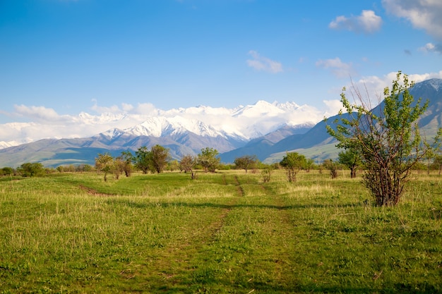 Schöne Frühlings- und Sommerlandschaft. Üppig grüne Hügel, hohe schneebedeckte Berge. Landstraße. Blauer Himmel und weiße Wolken. Hintergrund für Tourismus und Reisen.