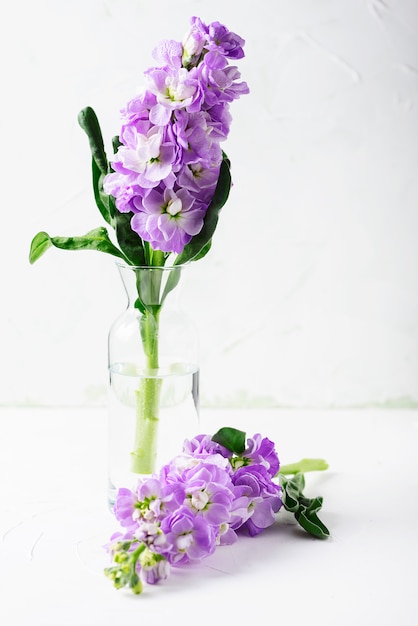 Schöne Frühlingsblumen auf dem weißen Tisch, selektiver Fokus