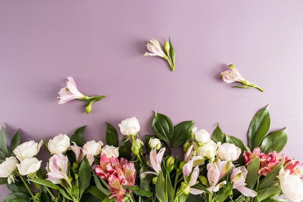 Schöne Frühlingsblumen auf einem lila Hintergrund mit einer Kopie der Blumengrenze der Raumdraufsicht