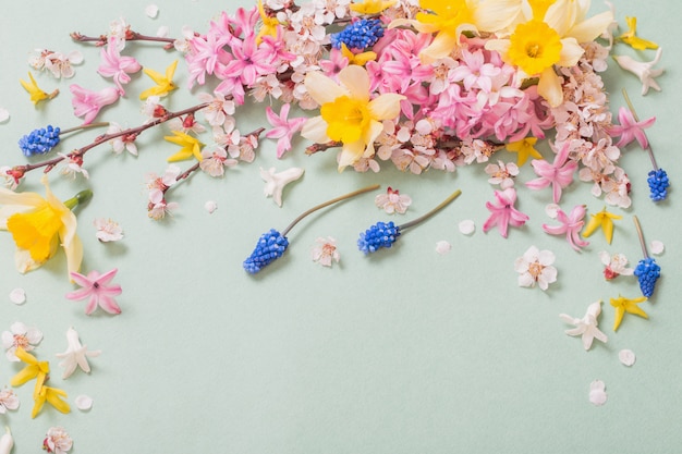 Schöne Frühlingsblumen auf Papierhintergrund