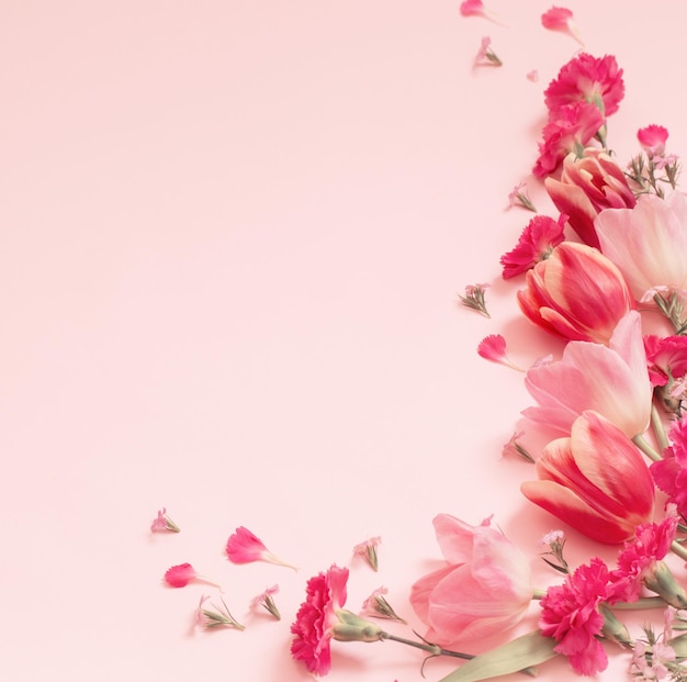 Schöne Frühlingsblumen auf rosa Hintergrund