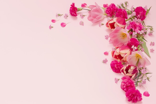 schöne Frühlingsblumen auf rosa Hintergrund