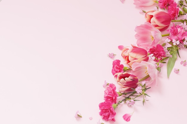 schöne Frühlingsblumen auf rosa Hintergrund