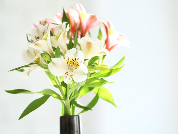 Schöne Frühlingsblumen auf weicher Fensterhintergrundnahaufnahme