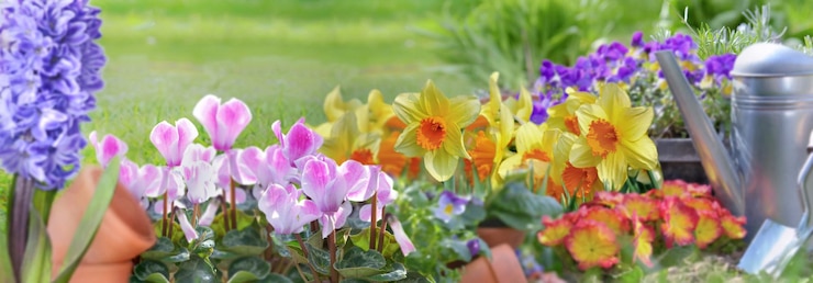 Foto schöne frühlingsblumen blühen in einem garten mit gartengeräten im gras