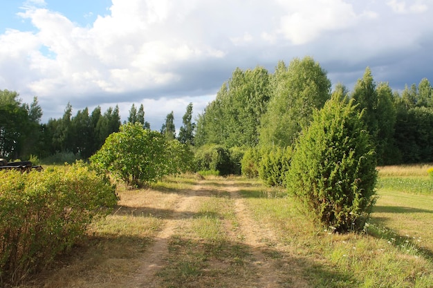 Schöne Frühlingslandschaft in Lettland, Osteuropa