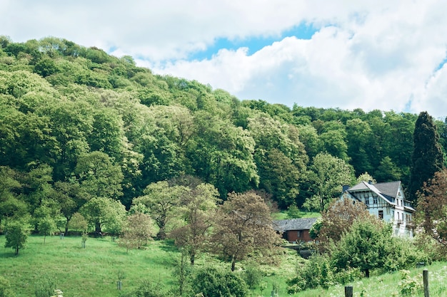 Schöne Frühlingslandschaft und Burg