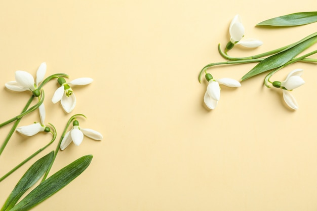 Schöne Frühlingsschneeglöckchenblumen auf Farbhintergrund, Raum für Text