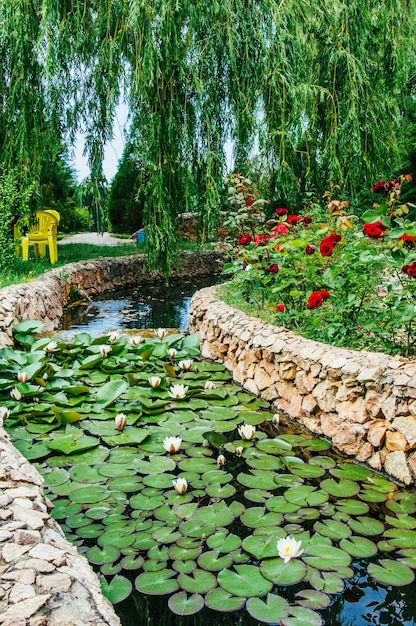 Schöne Gartenlandschaftsgestaltung, Teich mit Seerosen, Rosen