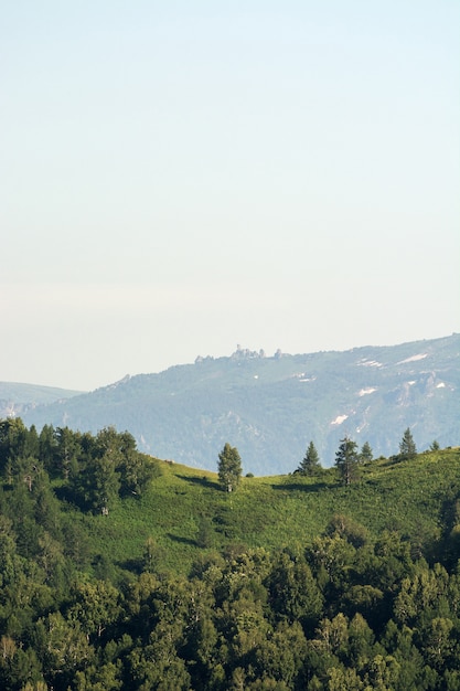 Schöne Gebirgsgrünlandschaft mit großen Hügeln und Schneebergen mit großen Steinen