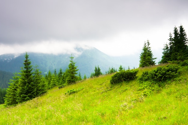 Schöne Gebirgslandschaft