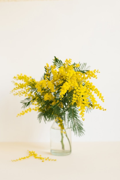 Foto schöne gelbe mimosenblüte in glasvase im frühling