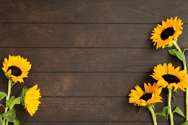 Schöne gelbe Sonnenblumen auf Holzuntergrund mit Kopierraum