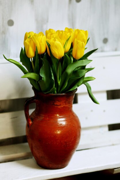 Schöne gelbe Tulpenblumen