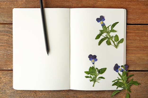 Schöne getrocknete Blüten im Notizbuch auf Holzhintergrund
