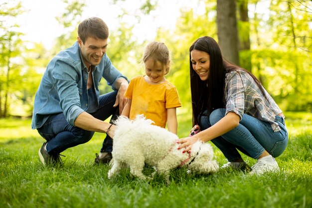 Schöne glückliche Familie hat Spaß mit Bichon Hund draußen im Park