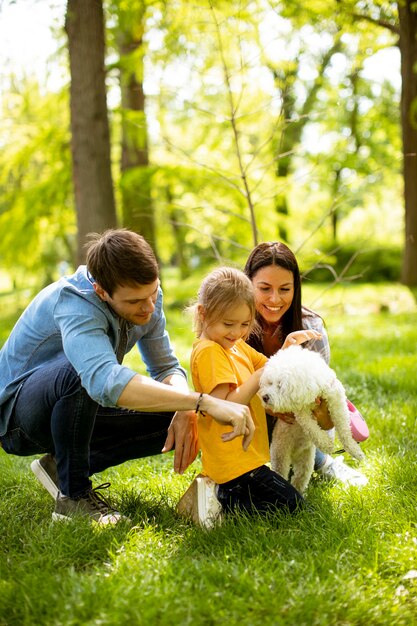 Schöne glückliche Familie hat Spaß mit Bichon Hund draußen im Park