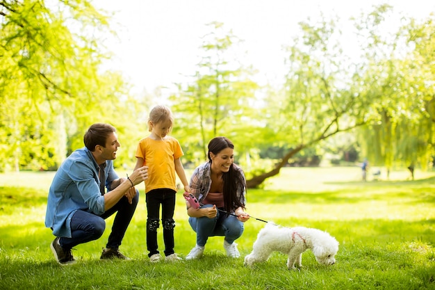 Schöne glückliche Familie hat Spaß mit Bichon Hund draußen im Park