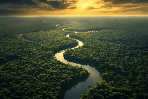 Schöne grüne Amazonaswaldlandschaft bei Sonnenuntergang und Sonnenaufgang