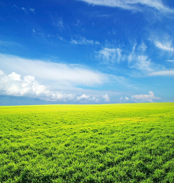 Schöne grüne Feldlandschaft und blauer Himmel mit Wolken