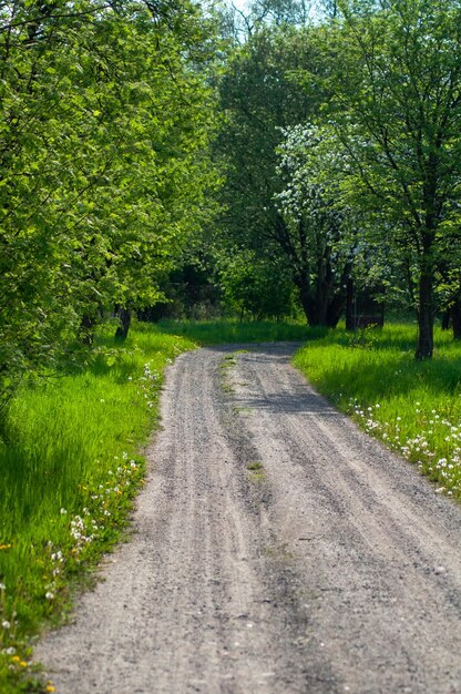 Schöne grüne Landschaft