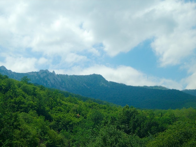 Schöne grüne Naturlandschaft mit Bergfoto