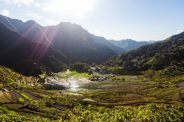 Schöne grüne Reisterrassen auf den Philippinen. Reisanbau auf der Insel Luzon.