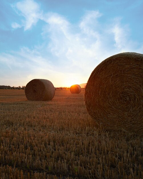 Schöne helle Sonnenstrahlen unter dem Horizont über dem Feld nach der Ernte. Strohballen im Freien auf Krieg