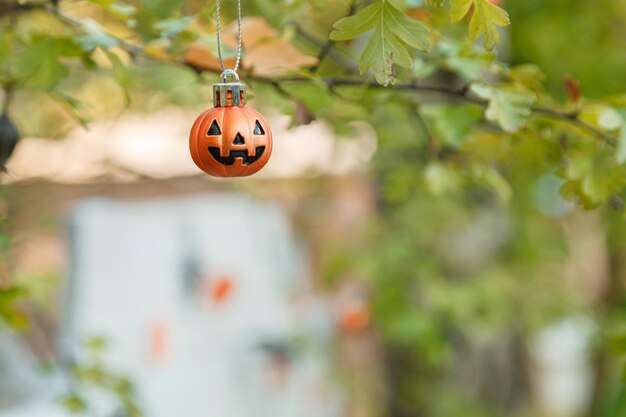 Foto schöne herbst-halloween-location-closeup