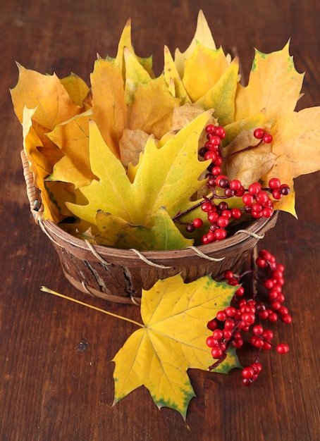 Schöne Herbstblätter und rote Beeren im Korb auf Holzhintergrund