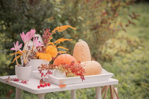 Schöne Herbstdekoration mit Blumen, Beeren, Kürbissen im Garten