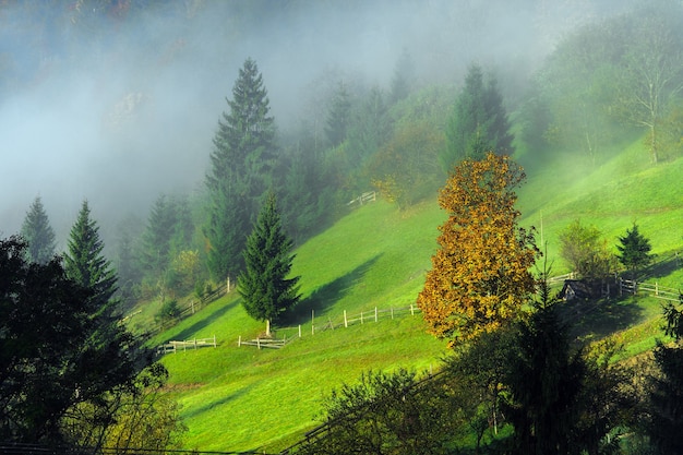 Schöne Herbstlandschaft in den Bergen Karpaty im Wald