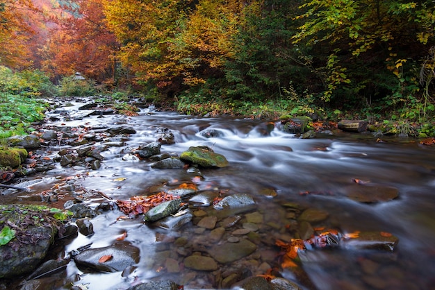 Schöne Herbstlandschaft in den Bergen Karpaty im Wald