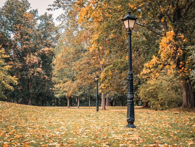 Schöne Herbstlandschaft mit altmodischer Lampe