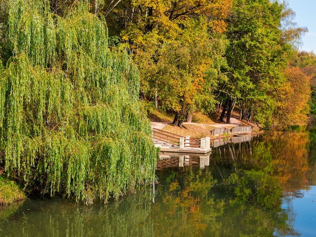 Schöne Herbstlandschaft mit einer großen Weide am Wasser. Zarizyno, Moskau.