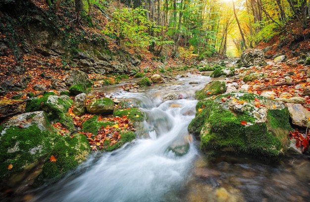 Schöne Herbstlandschaft mit Gebirgsfluss, Steinen und bunten Bäumen. Bergwald auf der Krim.