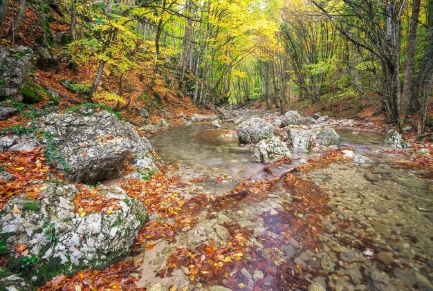 Schöne Herbstlandschaft mit Gebirgsfluss und bunten Bäumen