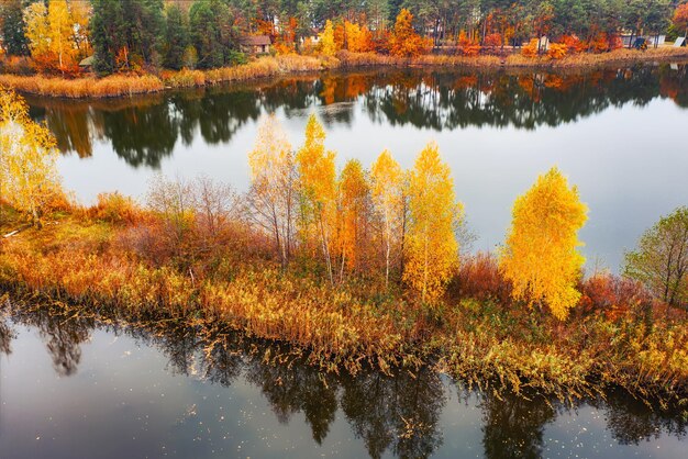 Foto schöne herbstlandschaft mit reflexion von birken im saisonalen hintergrund des sees