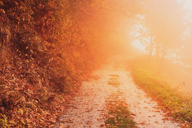 Schöne Herbstlandschaft