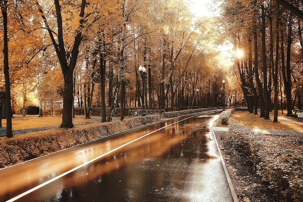 schöne Herbstparklandschaft / Wald, Bäume in gelbem Laub, Herbstlandschaft, Laubfall