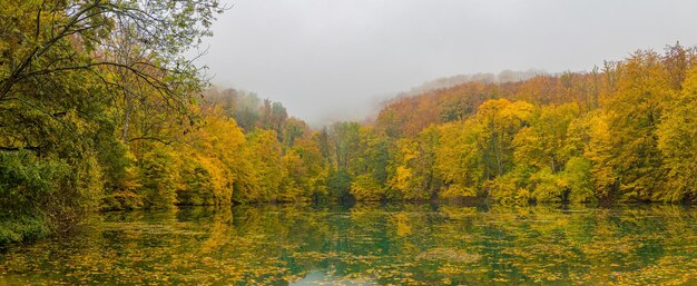 Schöne Herbstreflexion. Morgennebeliger Seeblick mit buntem Waldbaum. Idyllische Herbstnatur