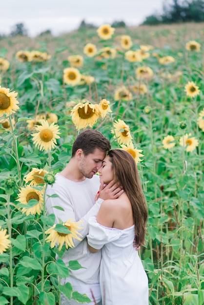 Schöne herrliche Frau und stilvolles hübsches männliches, rustikales Paar in einem Sonnenblumenfeld, das zärtlich küsst