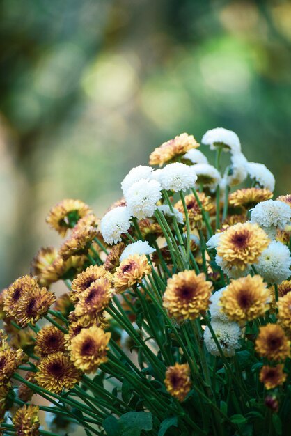 Schöne Hochzeitsblumen auf Bokeh Hintergrund.