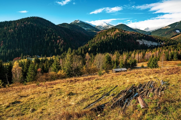 Schöne Hügel bedeckt mit bunten Herbstbäumen