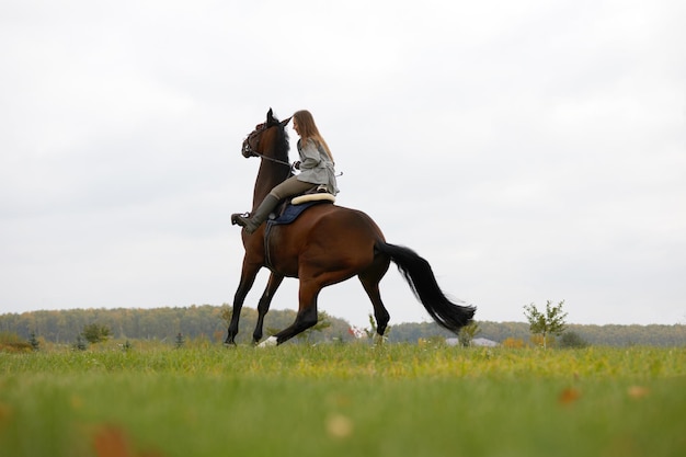 Schöne junge Frau, die ein Pferd auf dem Feld reitet Seitlich zur Kamera Freiheitsfreudenbewegung